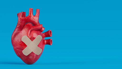 3D illustration of a human heart with adhesive bandages forming an X shape on it, symbolizing healing and protection after a heart attack — concept for Vitamin D3 reducing risk of a second heart attack.